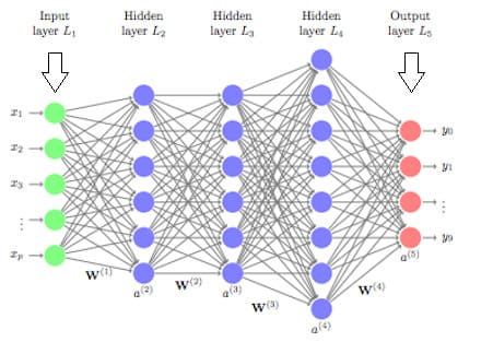 Neural Network